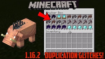 MINECRAFT 1.16.2/2.11 WORKING DUPLICATION GLITCHES TUTORIAL 2020! (All Platforms)