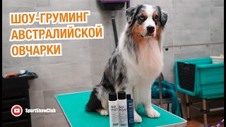 видео: Шоу-груминг австралийской овчарки. Косметика SoPOSH картинка: Шоу-груминг австралийской овчарки. Косметика SoPOSH