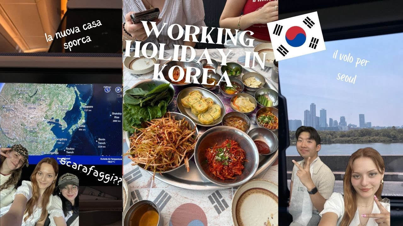 working holiday ep. 1: l'arrivo e il tour della casa degli scarafaggi