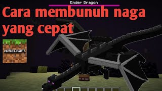 Cara membunuh naga yang baik dan benar | Minecraft | Tips