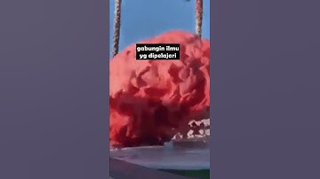 Tips Belajar Programming Untuk Pemula #Shorts