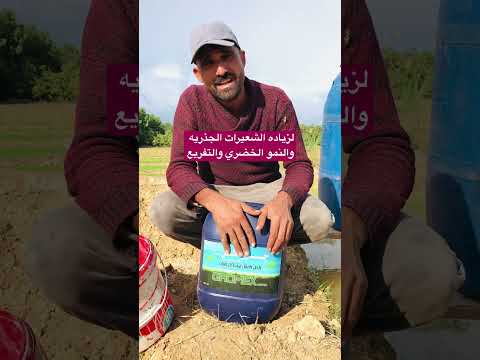 جرومكس يجعل النبات يقاوم الاجهاد الحراري اكسبلور زراعت اشجار 