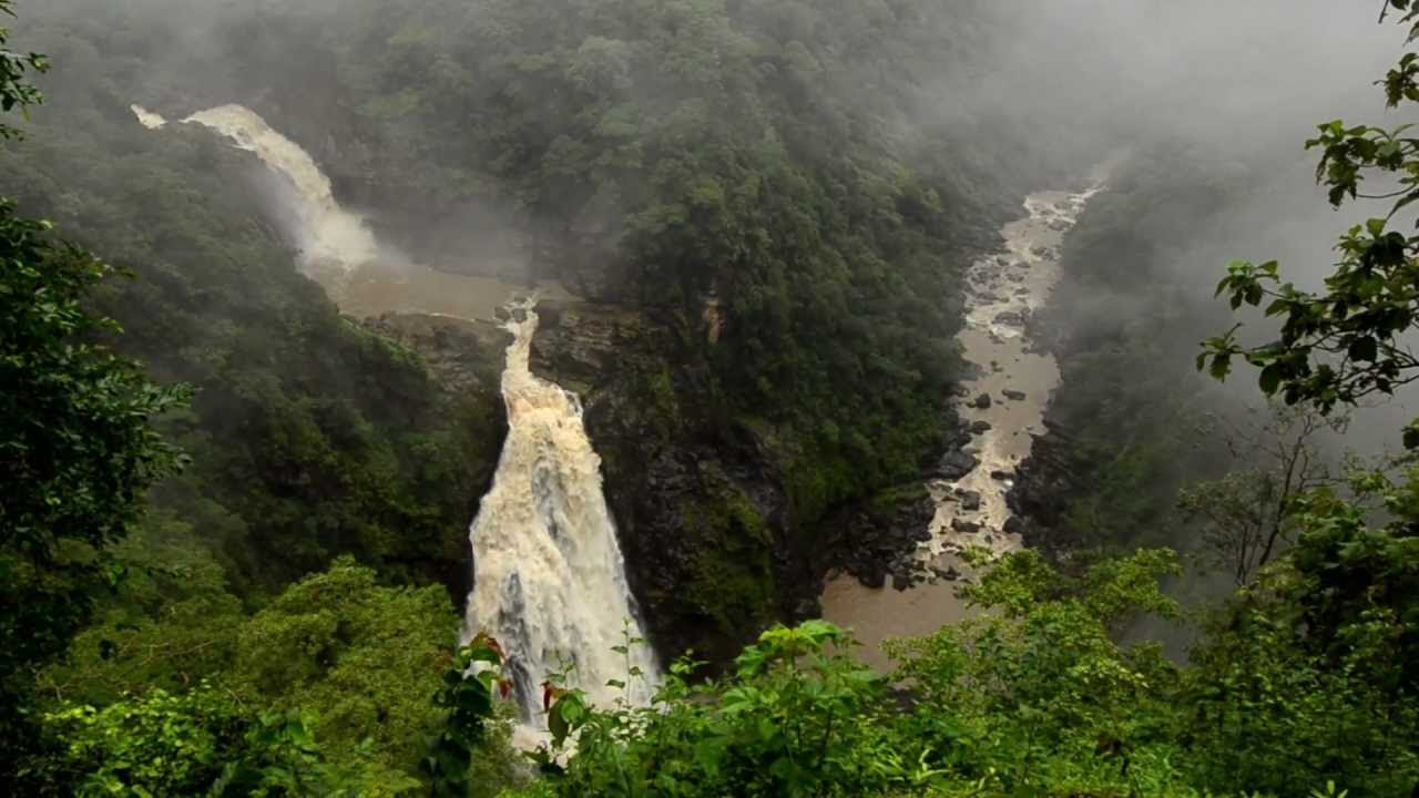 Ricky Kej   Jaya Hai Kannada Thaye   GRAMMY WINNER   Karnataka WildLife and Nature Video