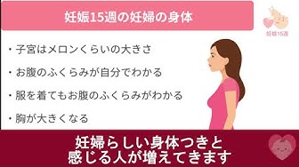 妊娠15週 Youtube