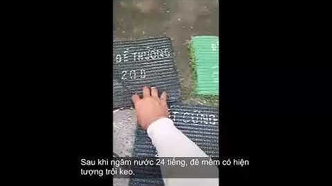 Hướng dẫn cách phân biệt Chất lượng Cỏ nhân tạo