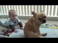 The Adventures of Charlie Bronson the French Bulldog and Baby