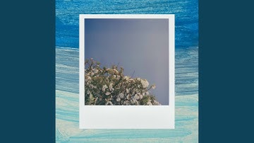 Stylish Backdrops for Acoustic Keynote