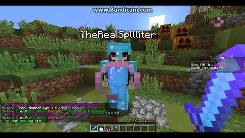 Leafmc Fly hacker(in the end)