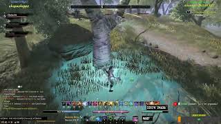 Clip TESO PvP - На тоненького (пытаюсь выжить)