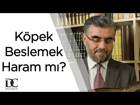 Evde köpek beslemek haram mıdır? | Prof. Dr. Abdulaziz Bayındır