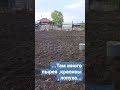Пашем, копаем и сажаем с нуля. Дождь не помеха. #домвдеревне #огородныедела #деревня