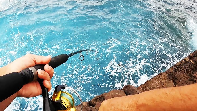 Green Cape Rock Fishing NSW Caught A Rock Cod! Using Rocks Crabs
