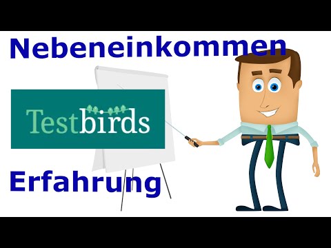 Nebenbei Geld verdienen als Softwaretester - Erfahrung mit Testbirds.de €€€