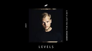 Levels (Lyrics Video) [from Avicii Spotify Compilation Album]