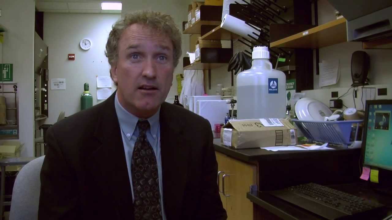 NAU Scientists study antibiotic resistance in food