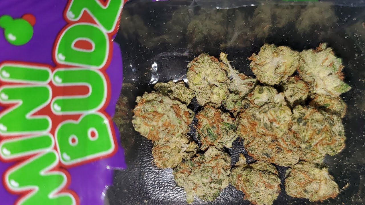 STRAIN REVIEW SESSION SUNDAY !!!!!!!!!!!