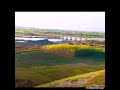 محمود الفراتي