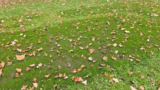 10/30/25 - The Green Thumb Chronicles - Chapter 28