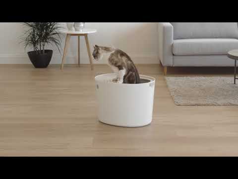 IRIS USA Top Entry Cat Litter Box