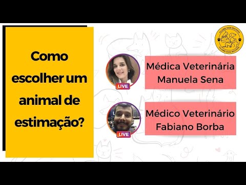 Vídeo: Rehoming e adotando animais de estimação exóticos - o que você deve considerar