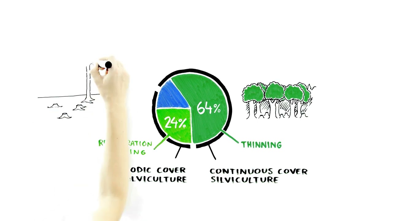Responsible Forest Management - Forest management methods in Finnish state-owned forests