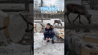 FINLAND WINTER ITINERARY 🤩🇫🇮 #travel #finland