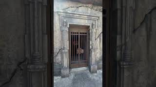 Entering the Portal into Dark Universe Universal Epic