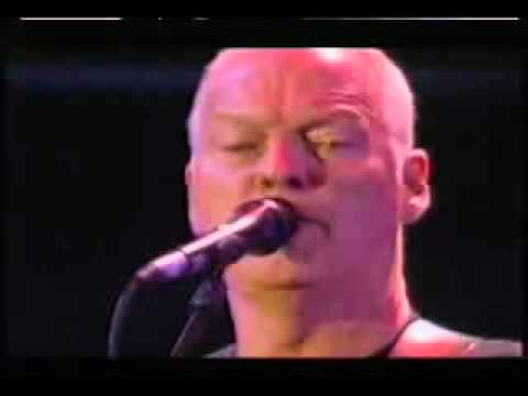 Pink Floyd Comfortably Numb Live 8 Youtube