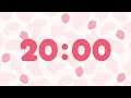 20 Minute Timer No Music Simple 