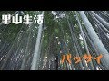 【里山生活　しまね】竹を切る の動画、YouTube動画。