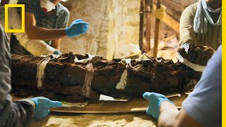Comment extraire une momie de son sarcophage ?