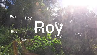 Jared Sena - Roy