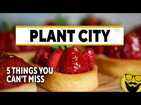 5 Things You Can’t Miss in Plant City, Florida, the World's Winter Strawberry Capital