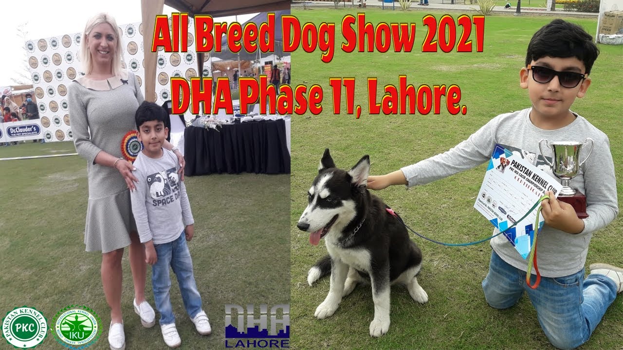 All Breed Championship Dog Show Pakistan Kennel Club DHA Lahore