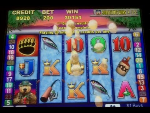 Grizzly bear casino slots