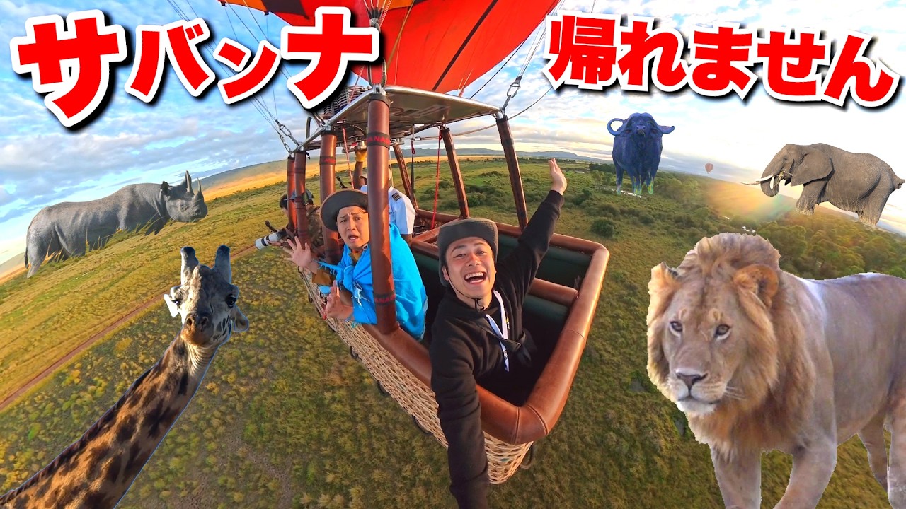 サバンナで動物BIG5を見つけるまで帰れませんが神回だった!!