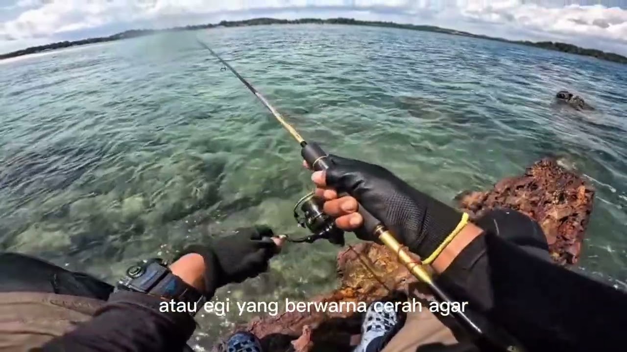  INSANE Squid Strike! 🦑🔥 