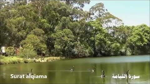 سورة القيامة     أحمد العجمي        ahmd alajmi …    surat alqiama
