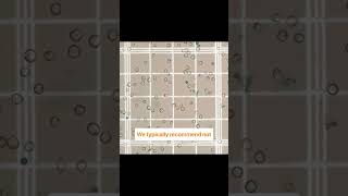 Calculating Viability - White Labs Cell Counting Tips