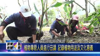 109 0319 家屋旁種民族植物 原民園區呈現傳統生活樣貌