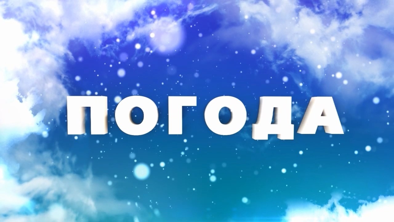 Весна набирає обертів: яку погоду прогнозують синоптики для Рівненщини