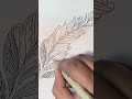 Zentangle Art || Feather 🪶 with lines and strokes
