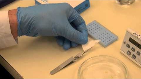 Ultra-thin section staining for TEM