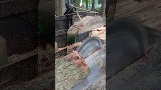 Video Guru 20260413 174524332