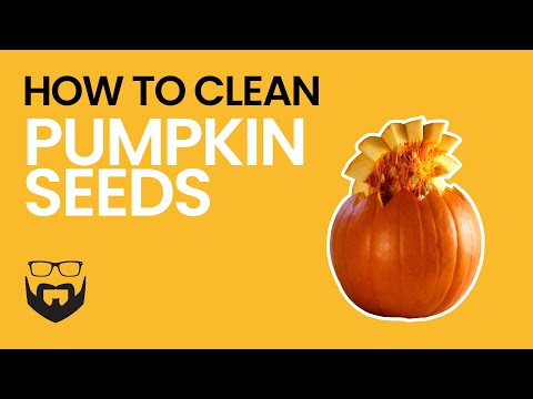 How to Clean Pumpkin Seeds