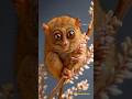 Tarsier: दुनिया की सबसे बड़ी आंखों वाला जानवर 😲 | WildWink Shorts|#ytshorts