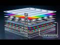 The Real Difference Between OLED and QLED