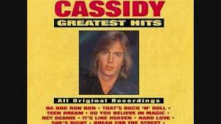 Video thumbnail of "Shaun Cassidy: Teen Dream"