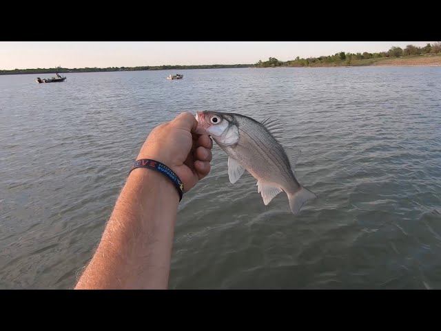 How to use the Thump'em Up Fishing Thumper to Catch More Stripers, Sandbass  and Hybrids! 