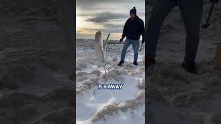 Couple use household tools to rescue birds stuck in ice